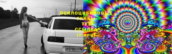 прущая мука Абинск