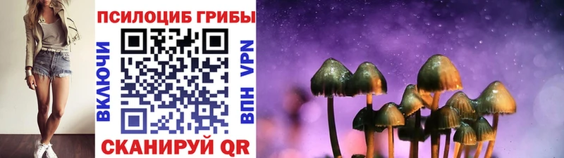KRAKEN ТОР  Анадырь  Галлюциногенные грибы мицелий  купить наркотик 